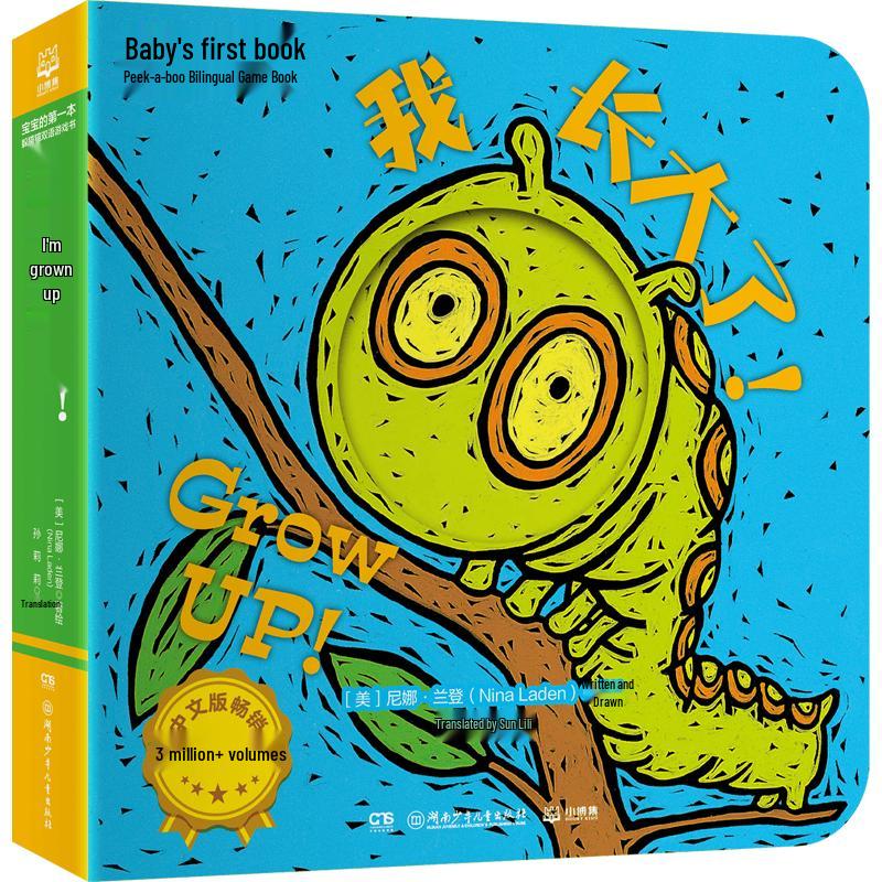 Guess Who I Am Bilingual Game Book