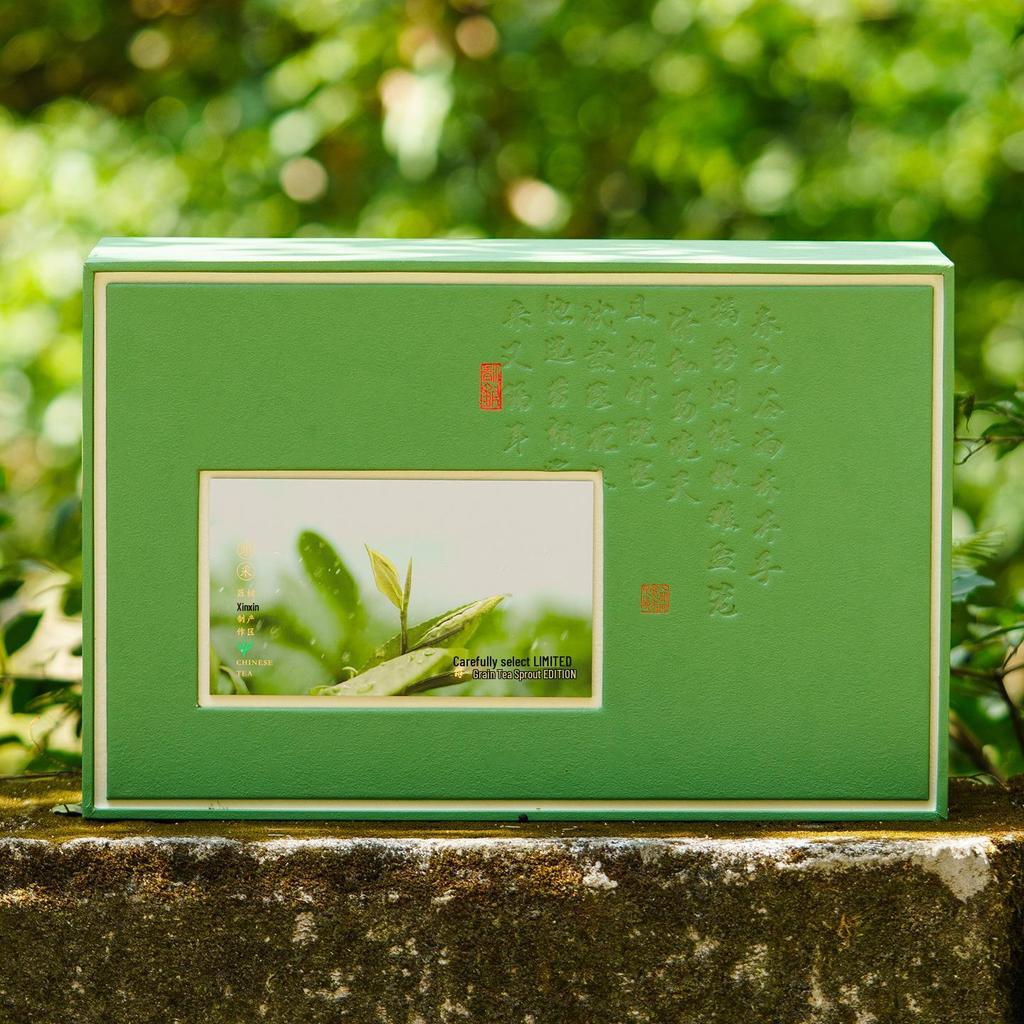 Fresh Green Tea Gift Box: Longjing, Biluochun, Gyokuro Varieties with Towel