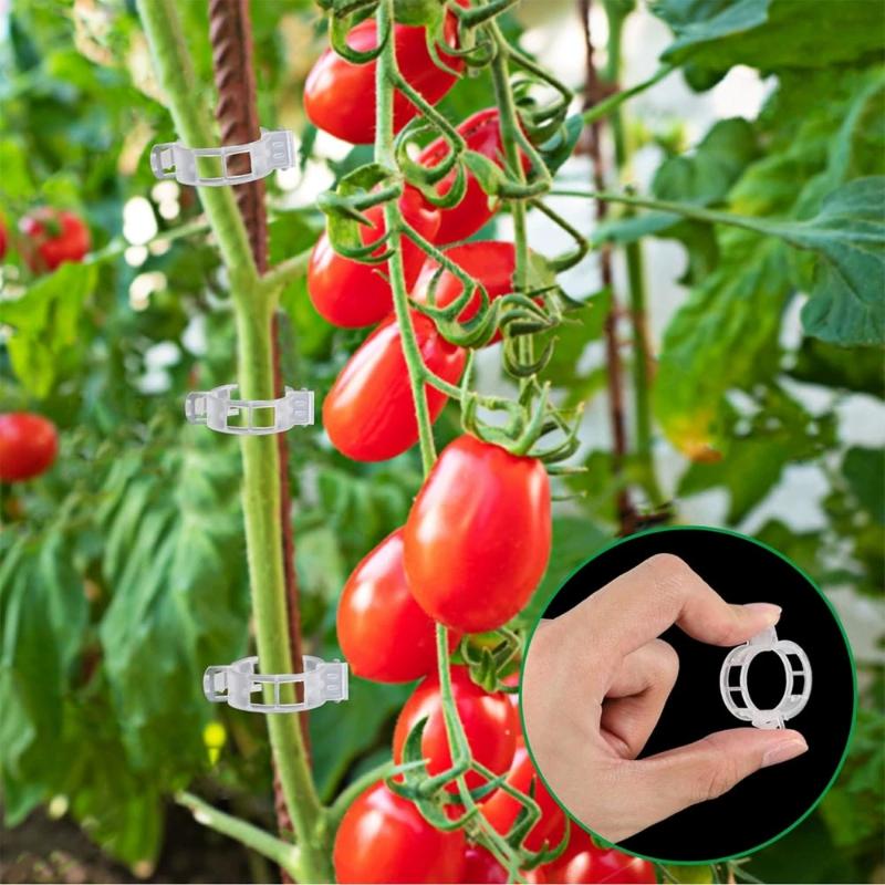 100Pcs Plant Support Clips,Snap-On Reusable Gardening Vine Brackets For Vegetables And Other Climbing Plants Weatherproof Tool