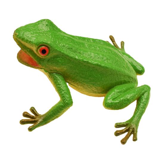 

Модель імітації жаби з іграшкою-сквішем для зняття стресу, реалістична жаба для малюків, реалістичний звук, освітня тварина, іграшка-розіграш, прикол зелений