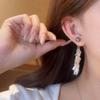 111 Silver Needle Tassel Wheat Ear Leaf Earrings Light Luxury Premium Sense Sparkling Earrings Women's Unique Temperament Earrings