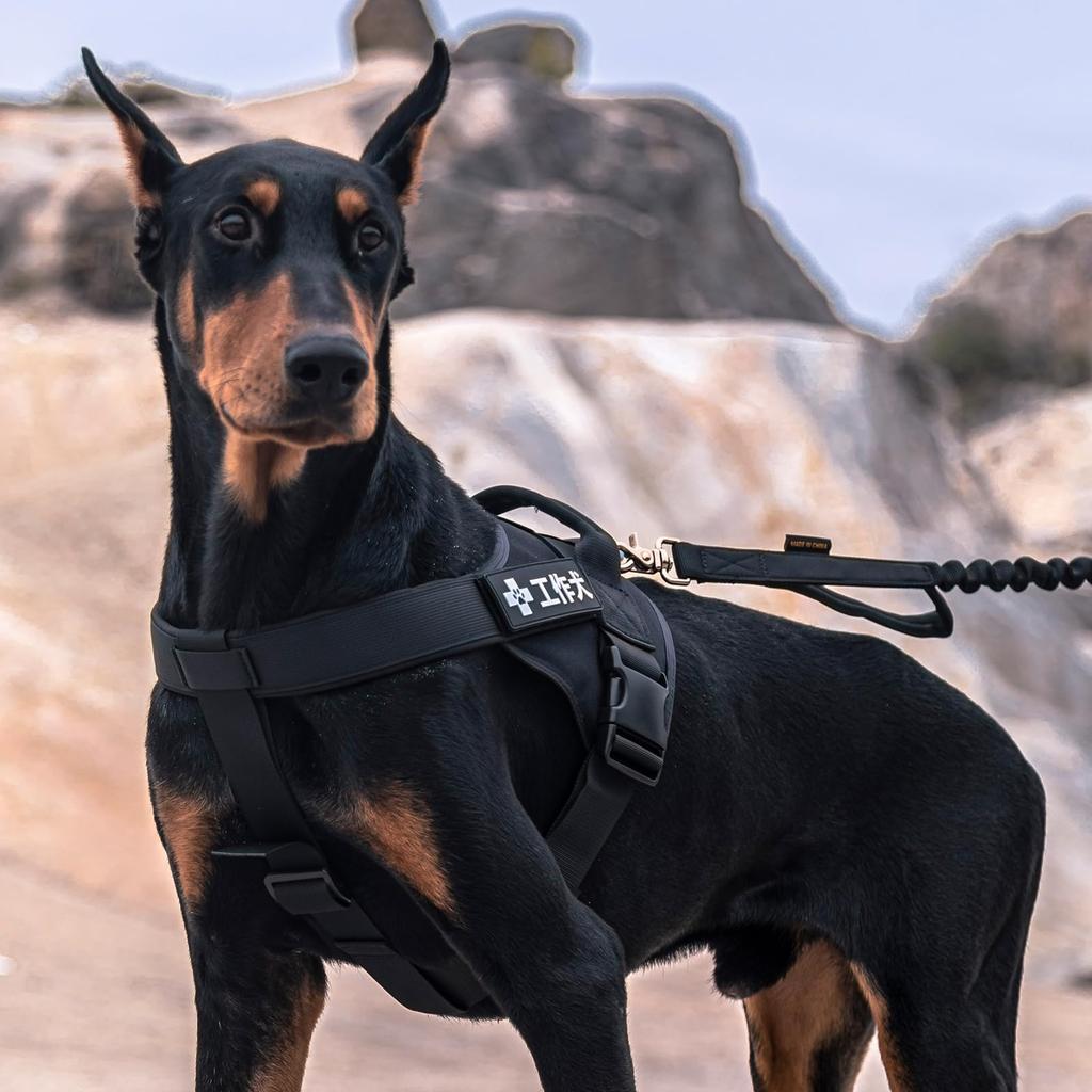 EXCELLENT ELITE SPANKER Military Nylon Anti-Pull Dog Harness for Large Dogs, Adjustable for Walking, Training, and Training Medium and Large Dogs