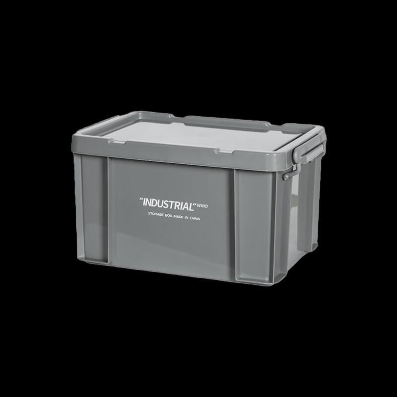 Thickened Plastic Storage Box with Lid