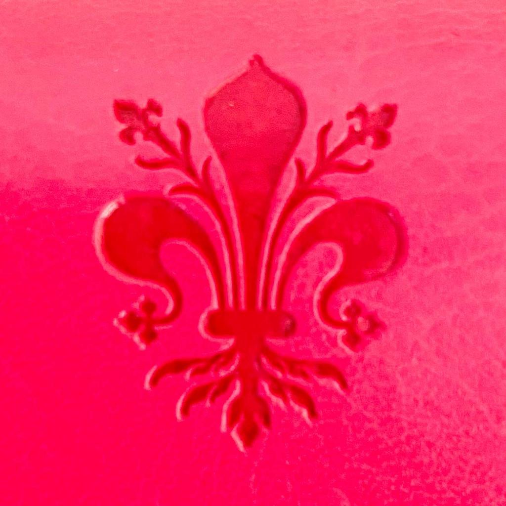 G.Barsanti&Figli Barsanti Eyeglass Case, Slim, Stylish, Lightweight, Compact, Made In Italy (Rose)