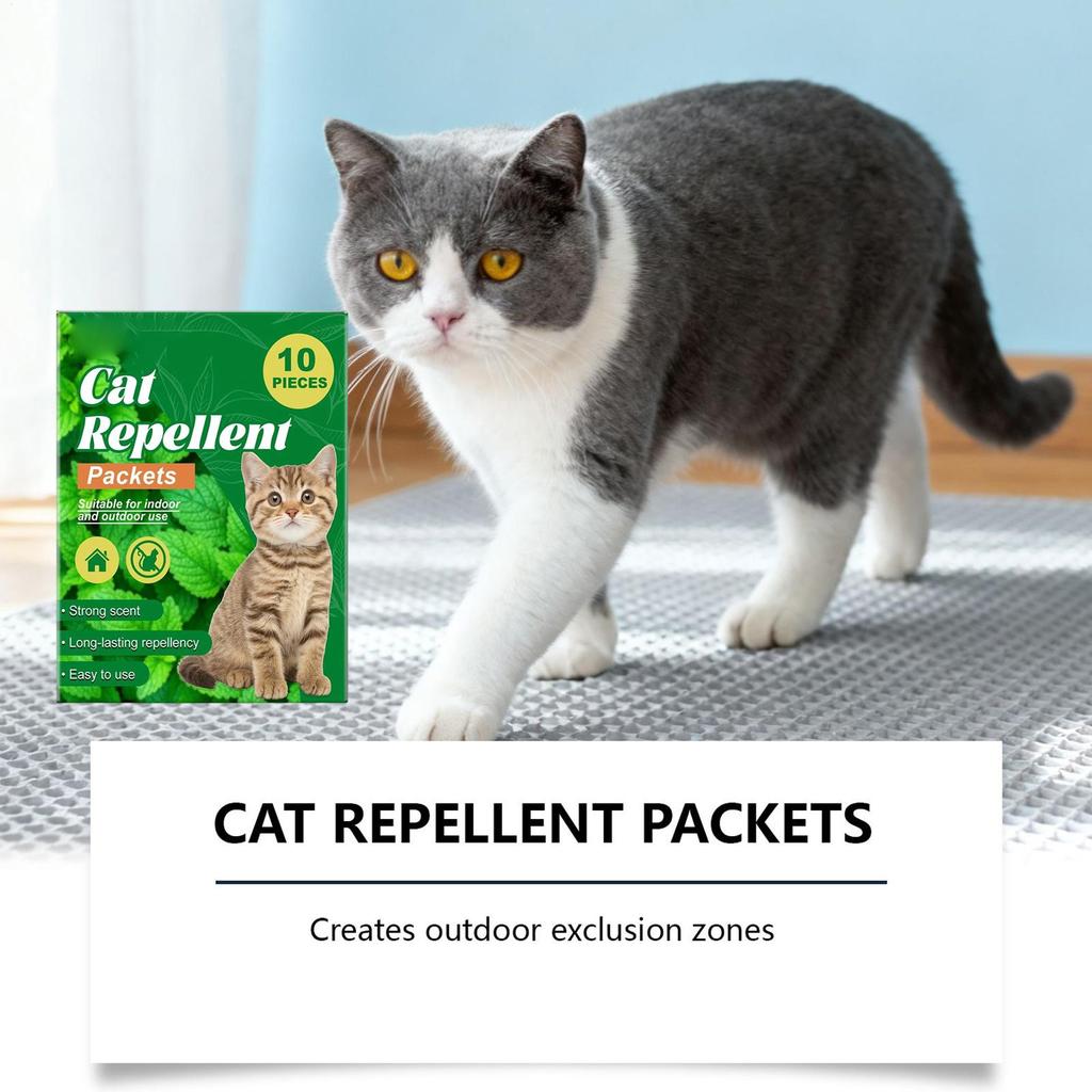 Training Aids For Cats 10 Pieces Behavior Training Garden Cat Protection For Kittens Indoor Home Plants Outdoor Garden Lawn Yard