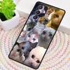 Crying Cat Memes Phone Case for Samsung Galaxy note 10 pro S26 Ultra S23 S24 FE S25 S21 S22 PLUS shockproof Cove