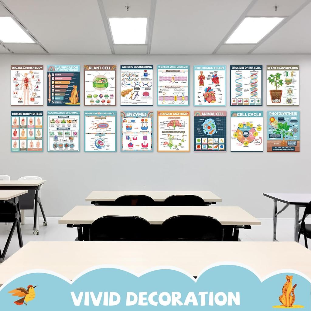 16Pcs Boho Science Posters for Classroom Middle School Supplies Biology Poster Classroom Decoration Life Science Posters Charts for Teachers High