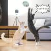 1Pc Cat Toy Balls Funny Stretchable Kitten Springs Toys Interactive Caged Rats Rolling Cat Balls Random Color Cat Accessories Pet