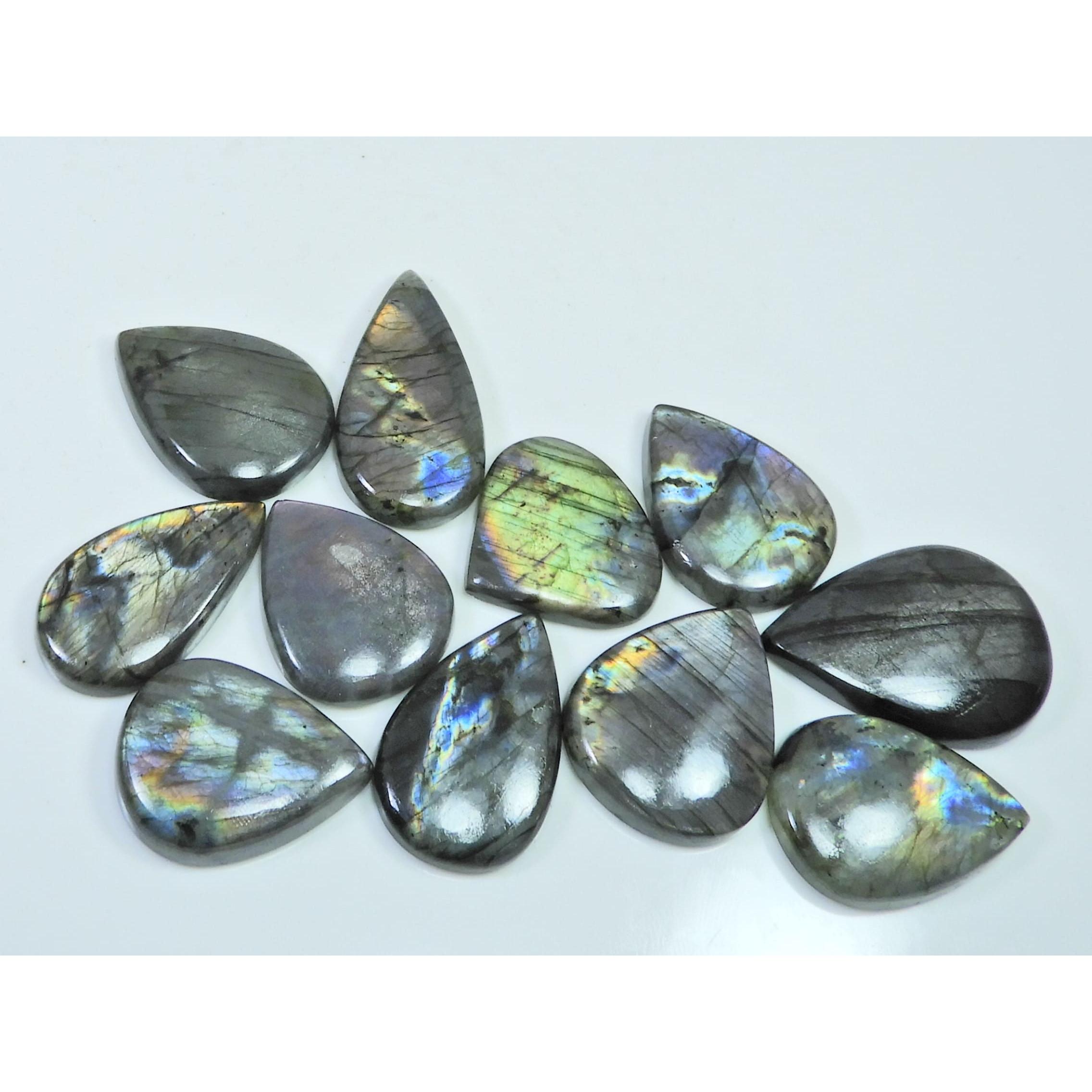

286Cts. Natural Purple Labradorite Spectrolite Pear Loose Gemstone 11Pcs Lot LL-1172