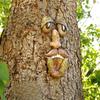 Tree Trunk Facial Feature Decoration Tree Eye Organ Set Outdoor Courtyard Pendant Design Home Tree Face