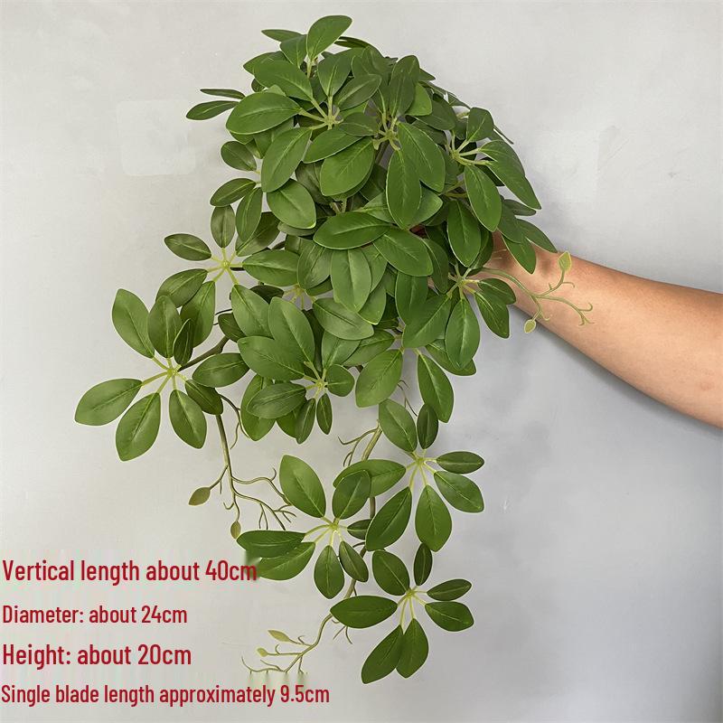 Wandmontierte Monstera-Ranke für die Innendekoration: Hängende Efeutute und laminierte grüne Zweige