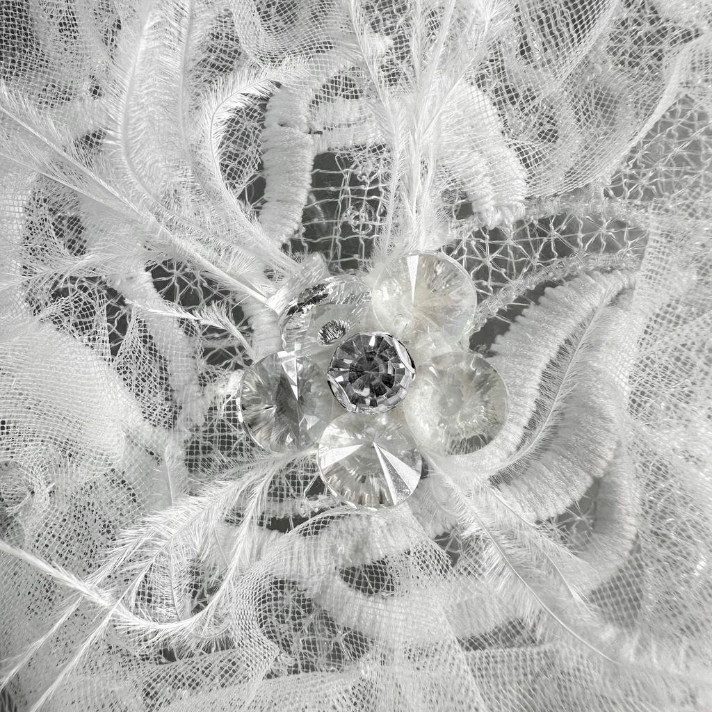 White Lace Feather Bead Embroidery Decal Clothing Luggage Dress Hair Accessories Decorative Cloth Stickers Accessories