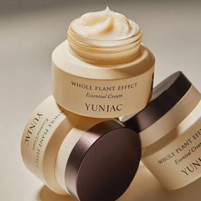 Pre-Order Essential Cream 50ml