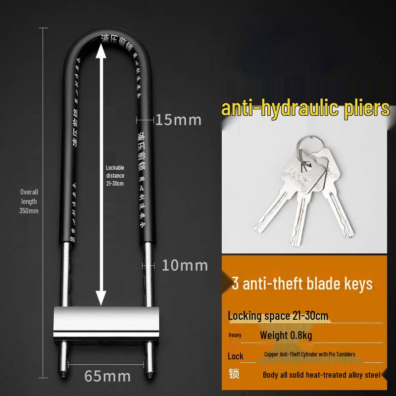 Double Door Password Glass Lock with Extended Code and Anti-theft U-lock for Electric Vehicles