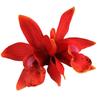 Hawaii Colourful Hair Clip Flower Hairpin Double Orchid Hair Clips Children's Hair Accessories for Women and Girls