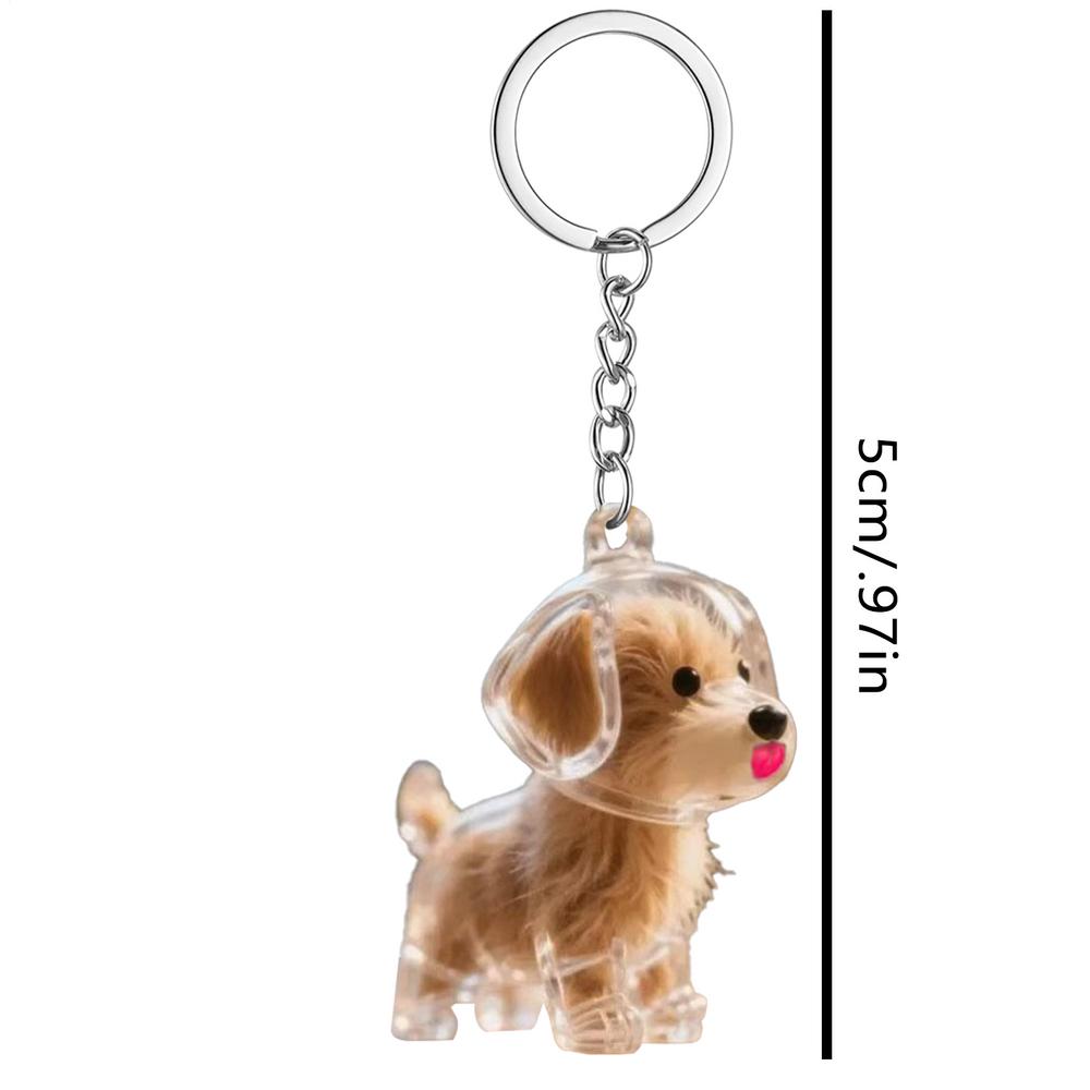 Dog hair collector keychain ornament pet hair memorial box transparent hair DIY storage box pet lover home display souvenir
