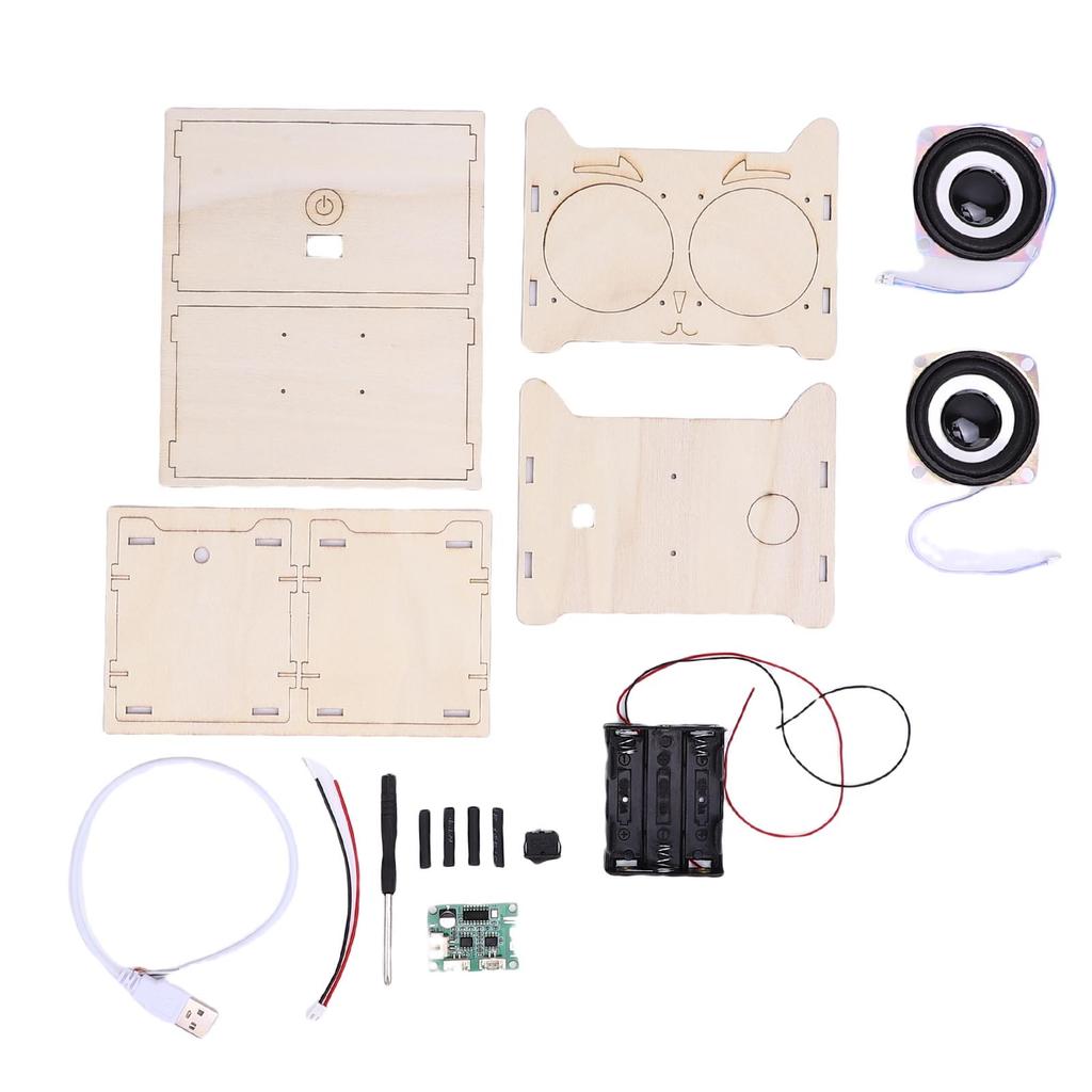 Bluetooth Speaker Craft Kit Stereo Speaker Build Electronic Components for Science Experiments