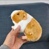 New Little Cute Simulation Hamster Plush Toys Guinea Pig Dolls Send Men and Women Friends Present