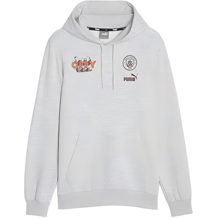 

Puma Ftblcore Пуловер с капюшоном с графическим принтом и длинными рукавами Мужской свитшот Светло-серый 772952-24 L