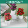 Flower Pot Plastic With Twelve Ball Chrysanthemum For Decoration Indoor