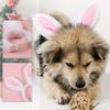 Charm Pet Headbands with Bunnies Ear Stage Performances Creative Headpiece for Holiday Gatherings