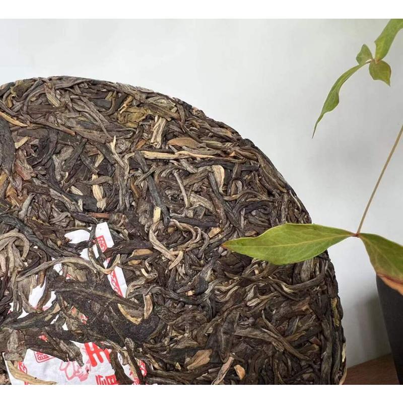 Pu-erh Tea 357g Ba Wang Qing Bin (Overlord Green Cake) Health Tea
