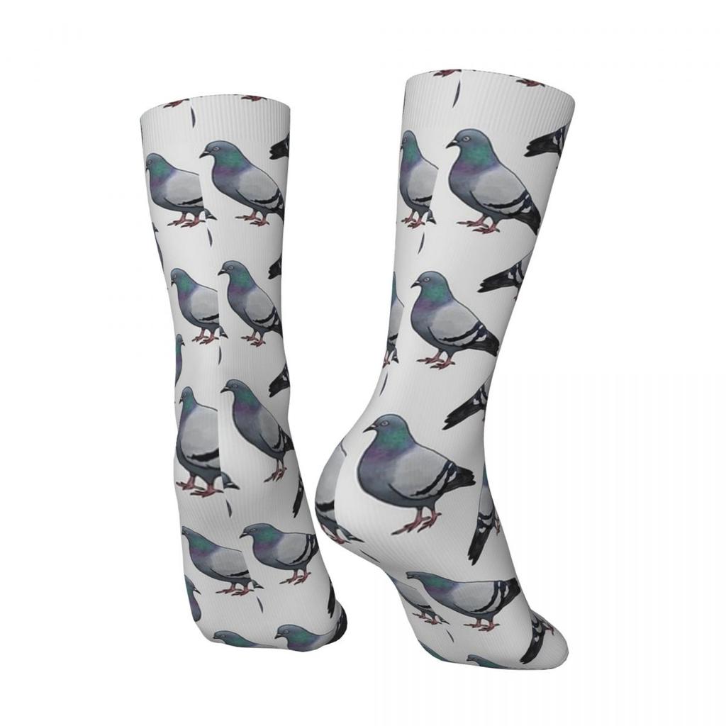 Pigeon Walk Stockings Grey Background Custom Fashion Socks Autumn Anti Bacterial Socks Men's Running Sports Breathable Socks