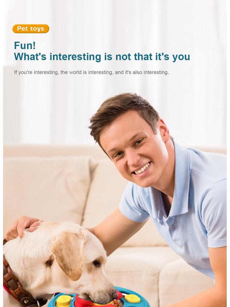 Hrănitor Lent Interactiv pentru Animale de Companie: Bol anti-sufocare, anti-alunecare pentru câini și pisici, jucărie pentru dresaj canin