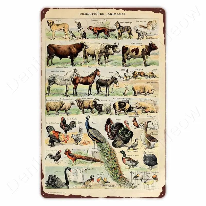 Starověcí Znamení Vintage Kovové Znamení Fosilní Nástěnné Umění Plakát Savci Ryby Znamení pro Domov Třída Dekor Hmyz Plechové Znamení