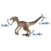 TAKARA TOMY Ania Jurassic World Final Battle Set Animal Dinosaur Toy Ages 3+