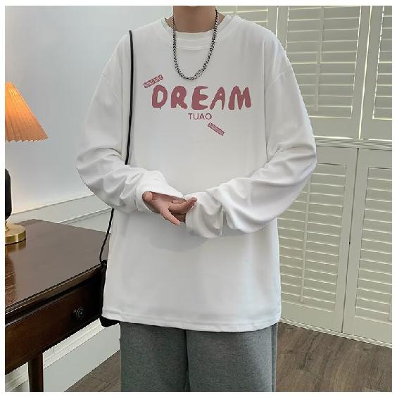 Printed Autumn Winter Sweater Men's Spring and Autumn 2024 Korean New Round Neck Loose Top Chic Hong Kong Style Trendy