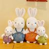 Internet Celebrity Sunshine Rabbit Doll Plush Toy Children Soothing Little White Rabbit Doll Little Girl Press Bed Exchange Gifts
