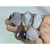 201Cts. Natural Botswana Agate Mix Cabochon Loose Gemstone 5 Pcs Lot A-676