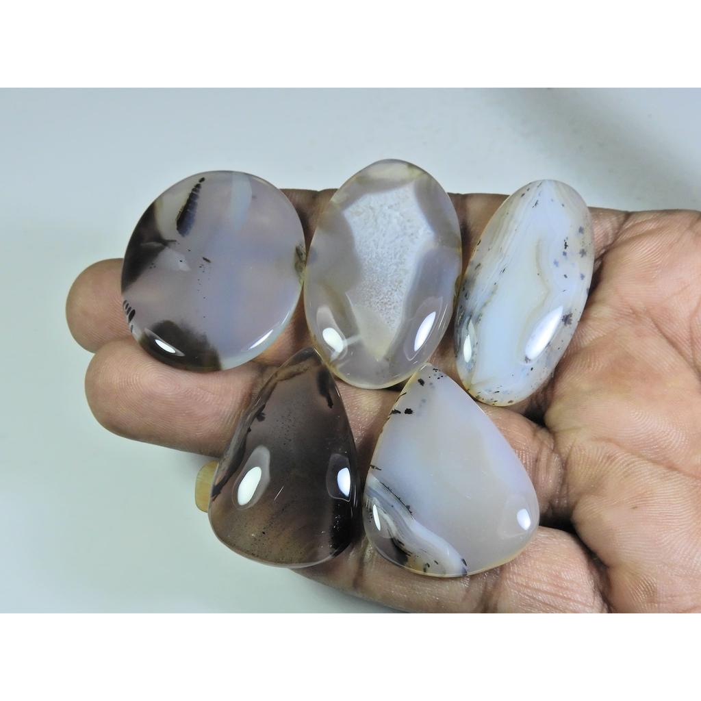 201Cts. Natural Botswana Agate Mix Cabochon Loose Gemstone 5 Pcs Lot A-676