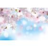 Frühlingsrosa Blumen Hintergrund Glitzer Licht Bokeh Floral Kirschblüte Neugeborenes Baby Porträt Fotografie Hintergrund Fotostudio