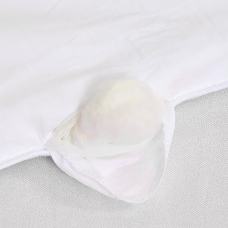Mercury Home Textiles DH Talent Mulberry Silk Antibacterial Quilt