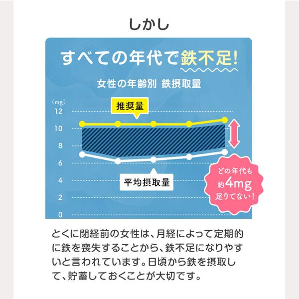 3-Pack FANCL Iron & Folic Acid Supplement 90-Day Supply S2085