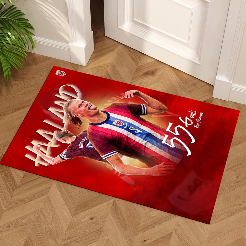 Haaland Area Rug Suitable for Outdoor Living Rooms Study room Dormitory Anti-slip Rug Decorate Offices Perfect Gift for Women/Men