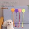 Pet Heart-Shaped Training Stick for Cats and Dogs