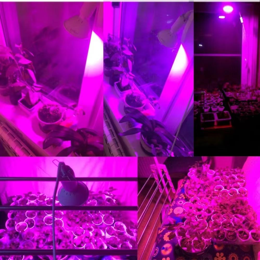 Led Plant Flower Grow Light Bulbs E27 Full Spectrum Red Uv Growing Lights Lamp for Indoor Hydroponics Growbox Veg Greenhouse