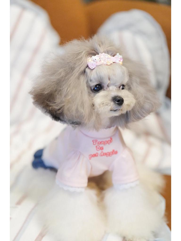 Pet Dog Denim Mesh Skirt: Cotton, Versatile, for Small Breeds