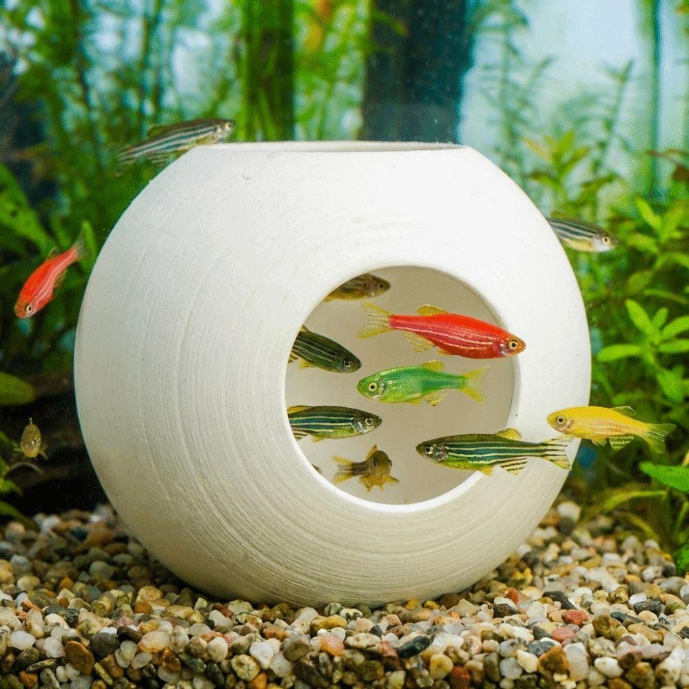 Suction Cup Fixed Fish Shrimp Hiding Cave Spherical Fish Tunnel Toy  Fish Shrimp Reptiles