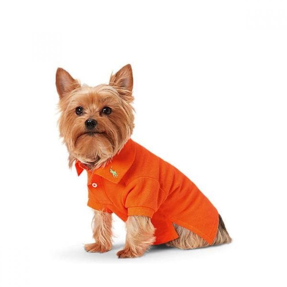 

Ralph Lauren Dog Cotton Mesh Polo Shirt Hmpopap5r920005800 XL