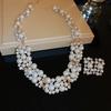 2-Piece Vintage Diamond-set Pearl Stud Earrings Necklace Sweater Collarbone Choker Item