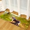 Animal Sand Wardrobe Shoe Cabinet Long Floor Mat
