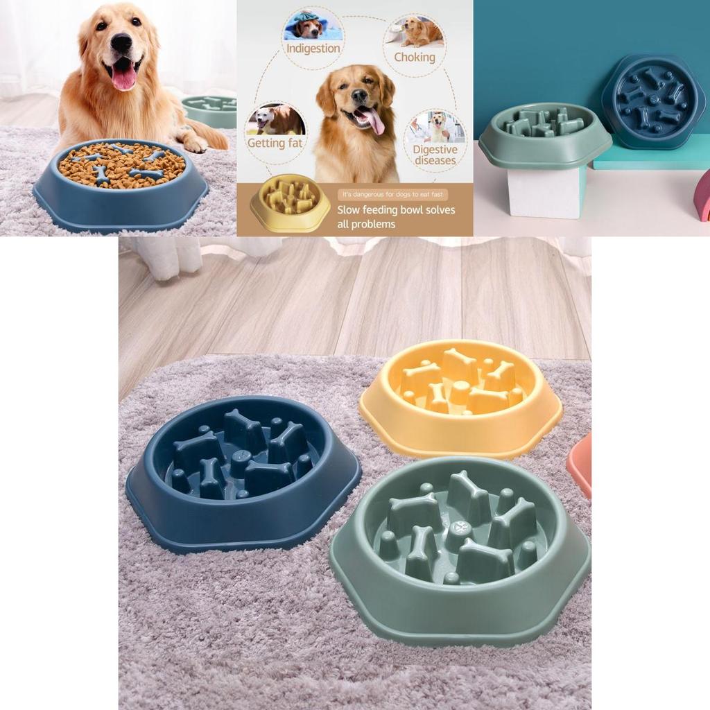 Vibrant Anti-spill Pet Feeding Bowl Slow Feeder Design For Dogs And Cats Multiple Colors Available