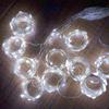 Pleasure Holiday 100LED 3x1Meter Curtain Strings Light USB 8-Mode Fairy Lamp with Remote Control