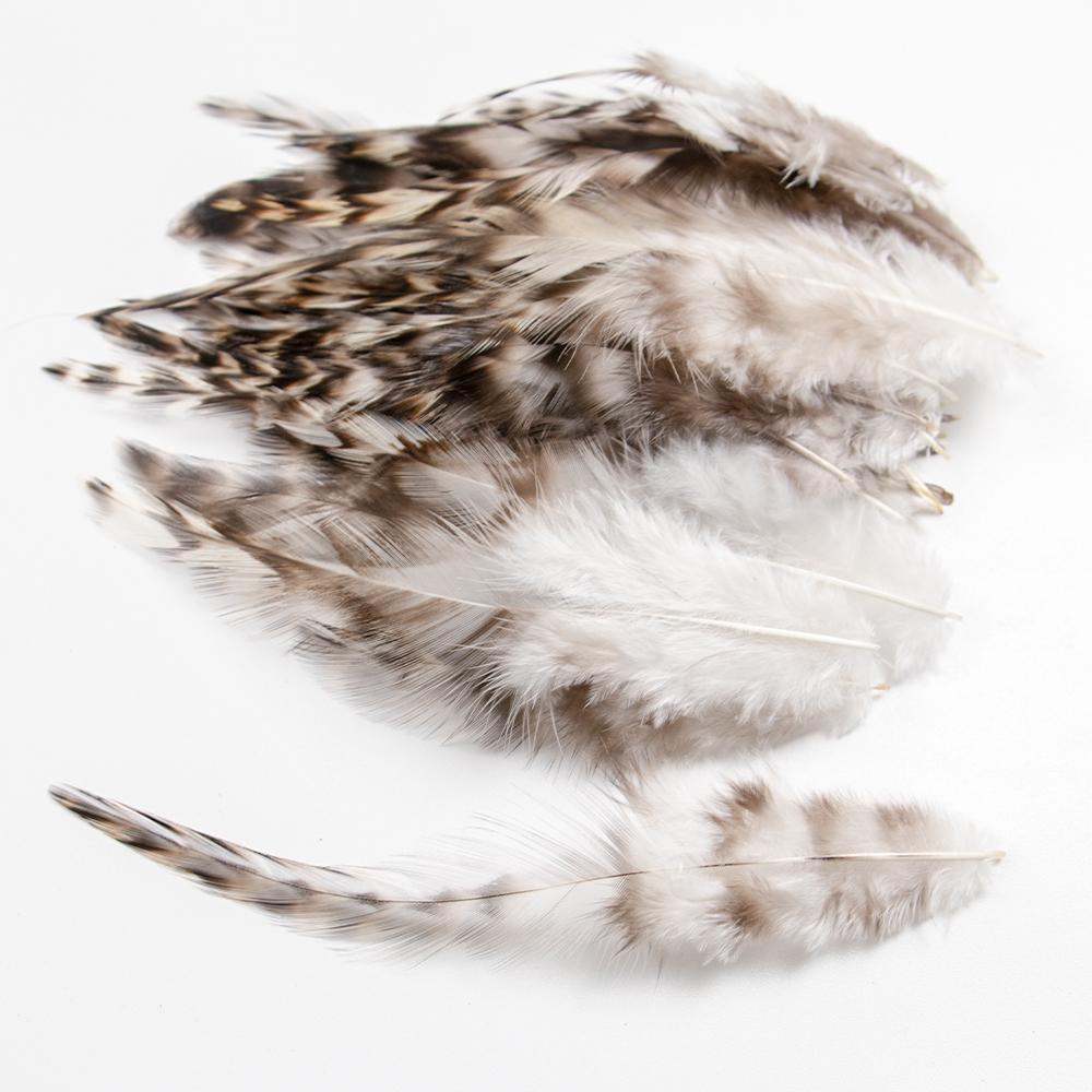 

10-15см Окрашенные куриные перья Натуральное фазанье перо для вечеринки DIY Ювелирные изделия Рукоделие Плюмаж Ремесла Украшение Оптовик 50PCS 10-15CM