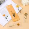 Book Note Marker PET Bookmarks Card Specimen Bookmarks Nature Plants Bookmarks Translucent Flower