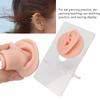 3 Pair Soft Silicone Ear Model Acrylic Bracket Human Ear Model for Piercing Practice Earring Display
